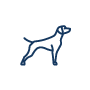 Chiens
